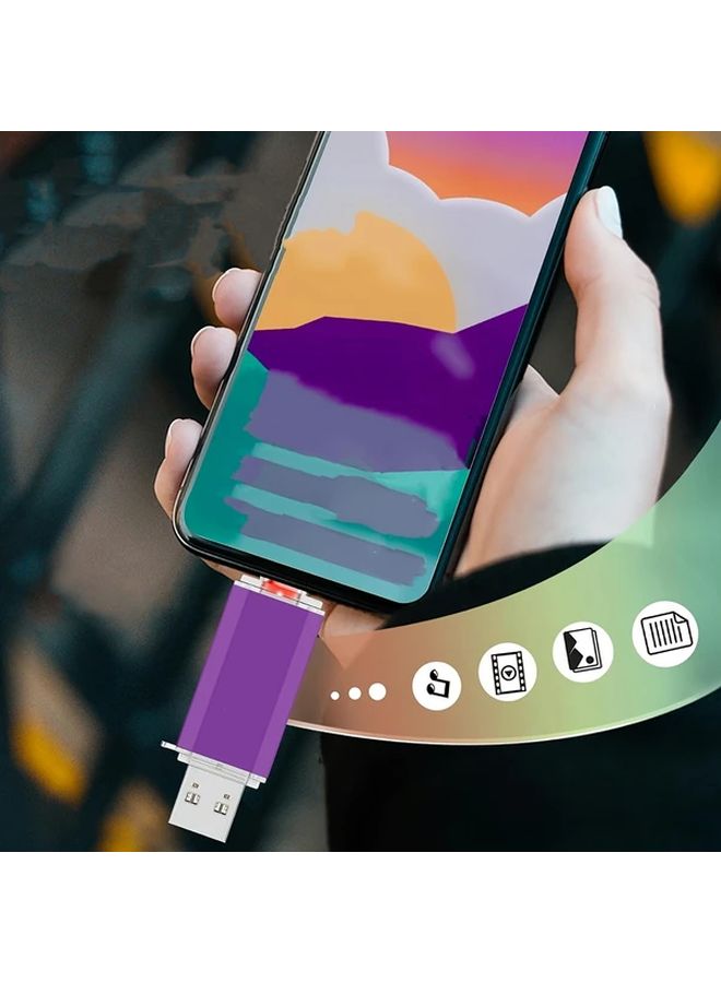LANSTEN 256GB USB C فلاش درايف 40 60 ميجابايت/ثانية سرعة الكتابة للهواتف الأندرويد والكمبيوتر اللون بنفسجي - Image 3